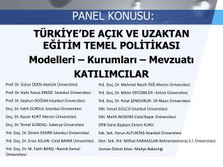 panel konusu