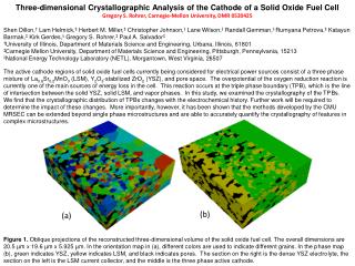 Three-dimensional Crystallographic Analysis of the Cathode of a Solid Oxide Fuel Cell