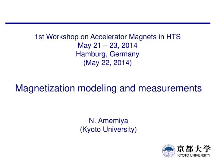 magnetization modeling and measurements