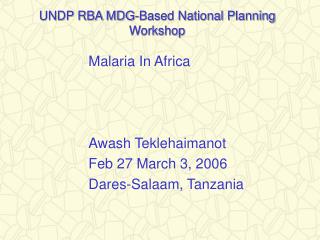 UNDP RBA MDG-Based National Planning Workshop