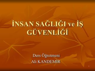 nsan sa li i ve g venl