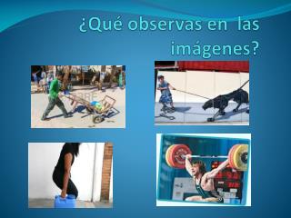 qu observas en las im genes