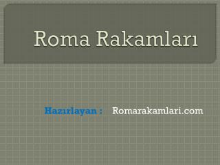 roma rakamlar