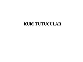 KUM TUTUCULAR