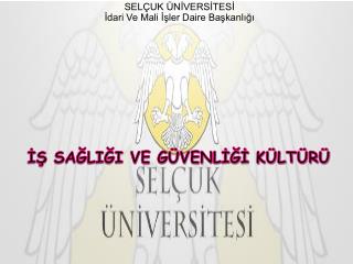sa li i ve g venl k lt r