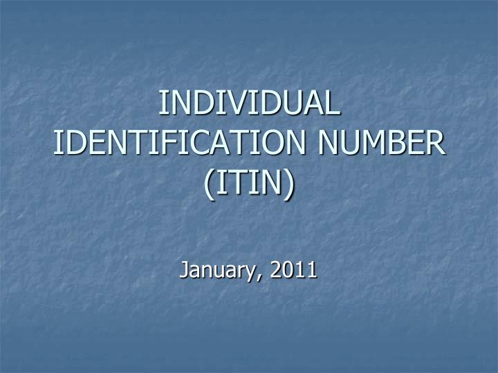 individual identification number itin