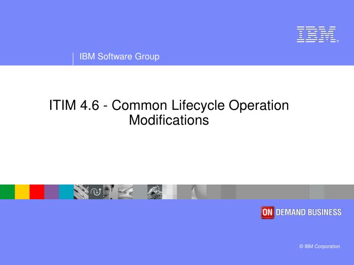 itim 4 6 common lifecycle operation modifications