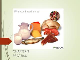 CHAPTER 3 PROTEINS