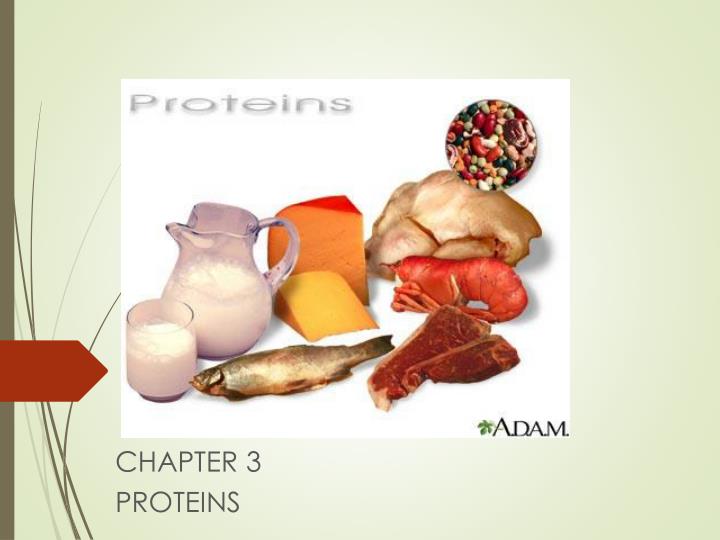 chapter 3 proteins