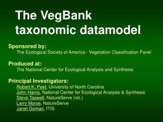 The VegBank taxonomic datamodel