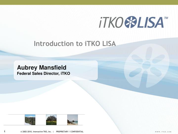 introduction to itko lisa