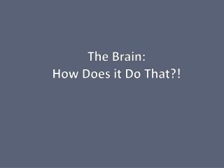 The Brain: How Does it Do That?!