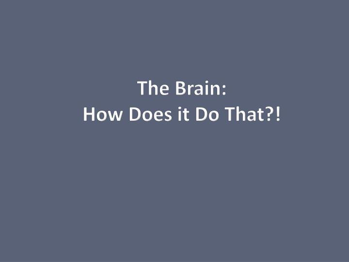 the brain how does it do that