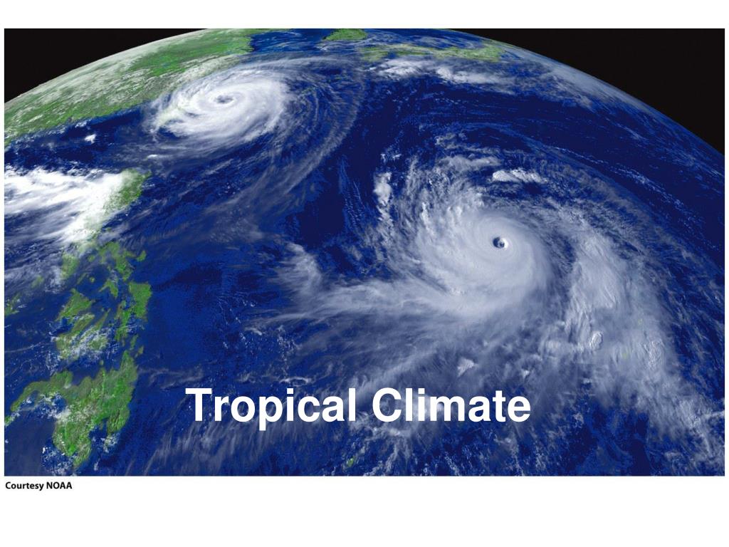 PPT - Tropical Climate PowerPoint Presentation, free download - ID:3467552