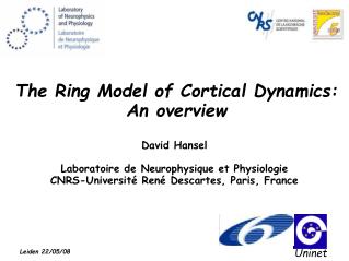 The Ring Model of Cortical Dynamics: An overview