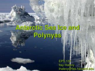 Antarctic Sea Ice and Polynyas