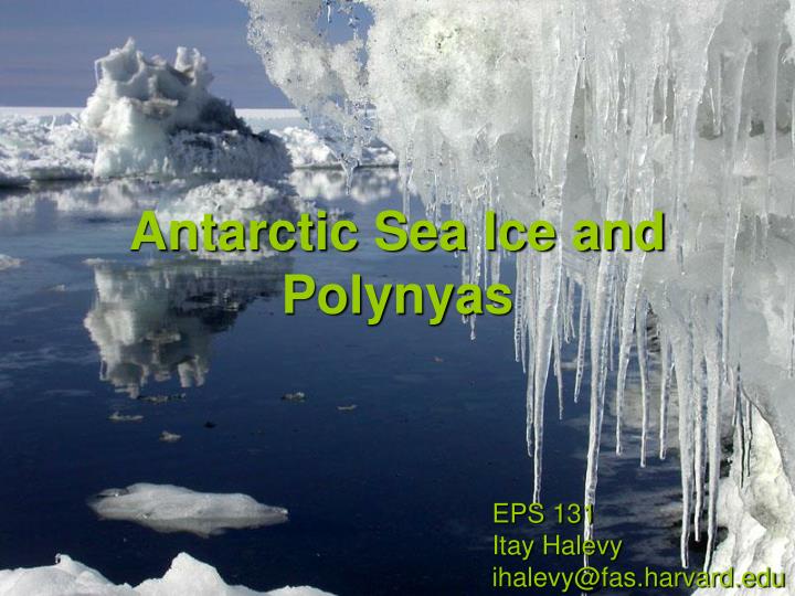 antarctic sea ice and polynyas