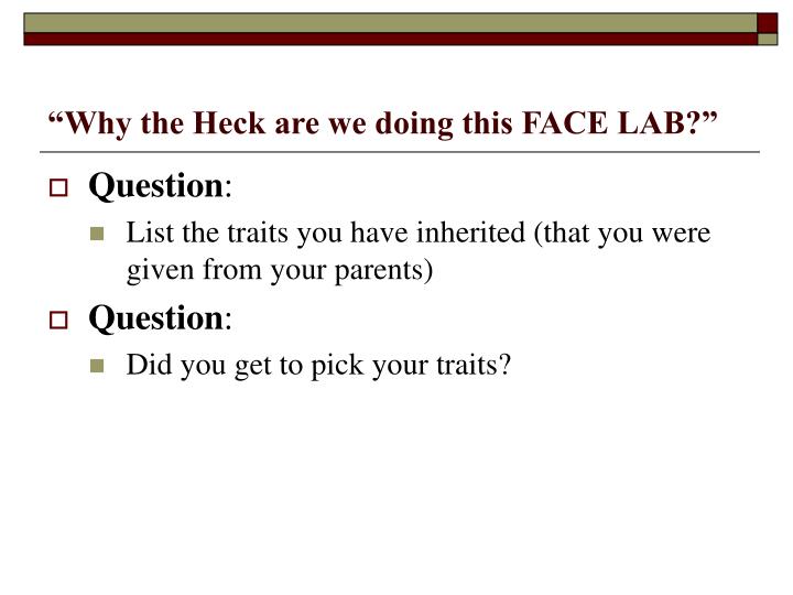 why the heck are we doing this face lab