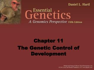 Chapter 11 The Genetic Control of Development