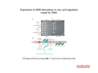 CR Clapier &amp; BR Cairns Nature 000 , 1-5 (2012) doi:10.1038/nature11625