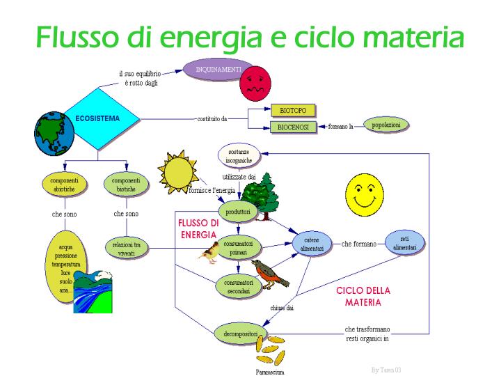 flusso di energia e ciclo materia