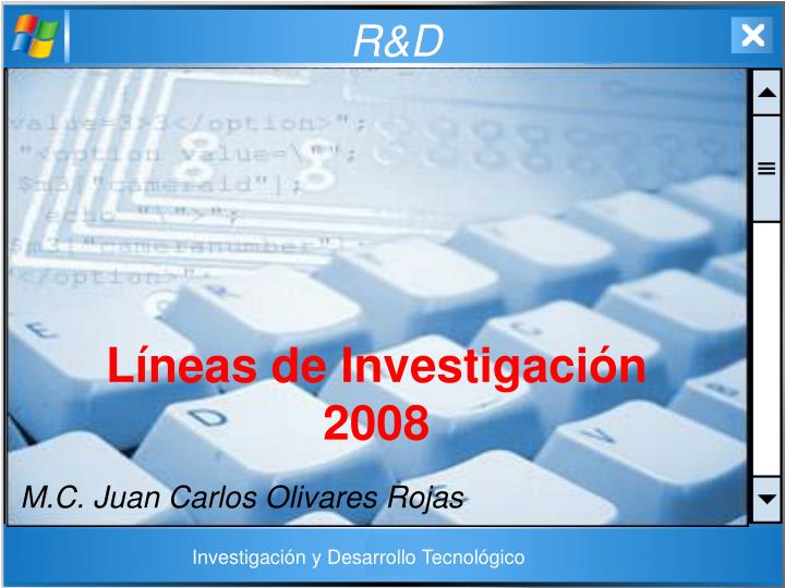 l neas de investigaci n 2008