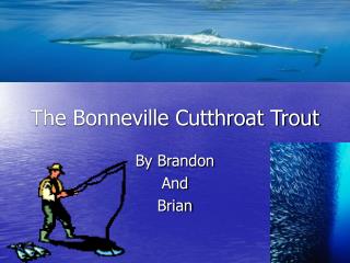 The Bonneville Cutthroat Trout