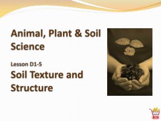 Animal, Plant &amp; Soil Science Lesson D1-5 Soil Texture and Structure