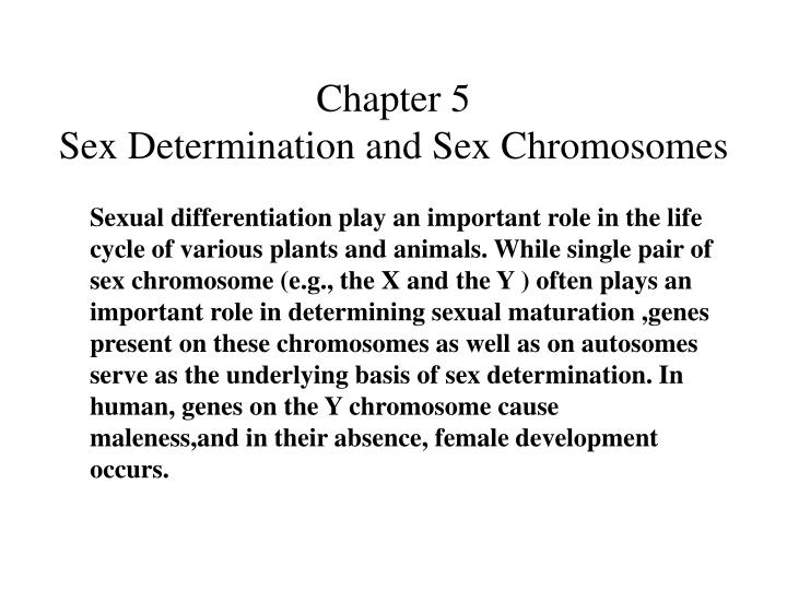 chapter 5 sex determination and sex chromosomes