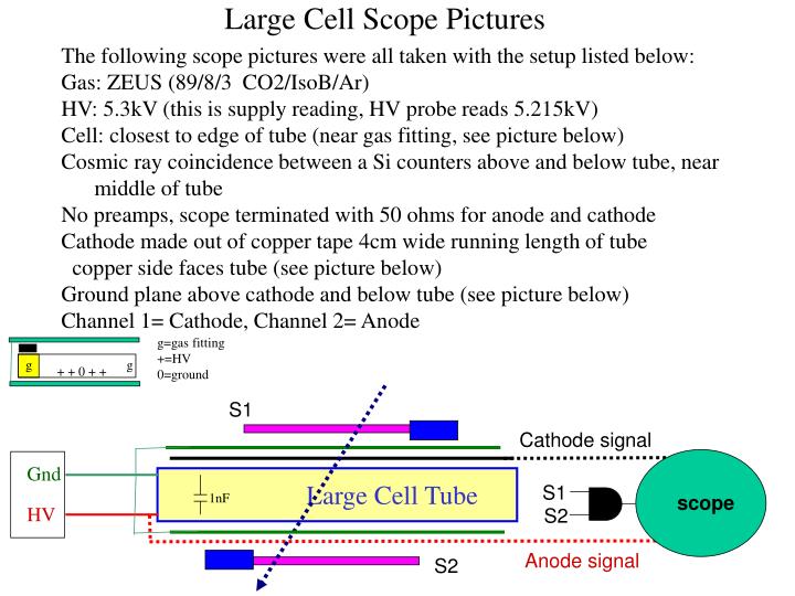 large cell scope pictures