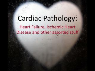 Cardiac Pathology: