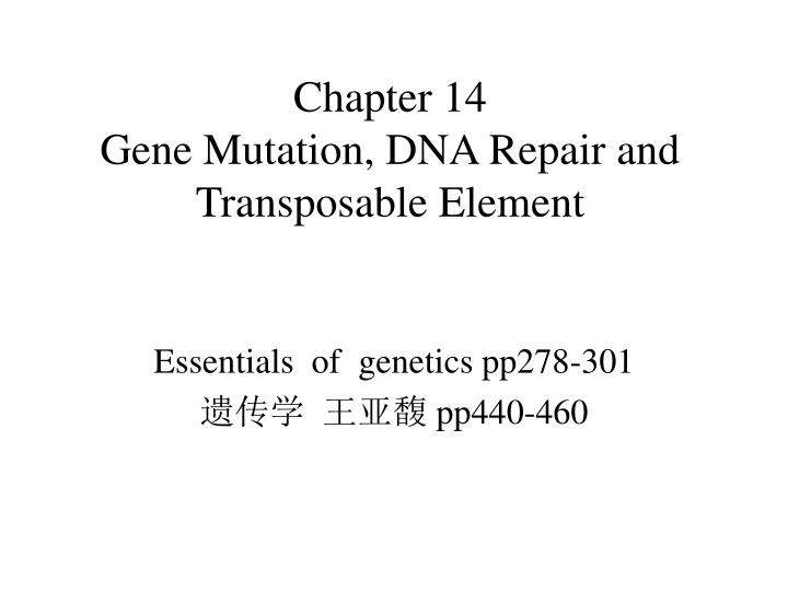 chapter 14 gene mutation dna repair and transposable element