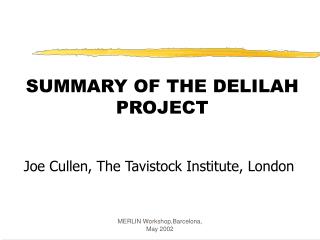 SUMMARY OF THE DELILAH PROJECT
