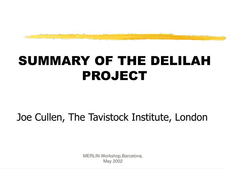 summary of the delilah project