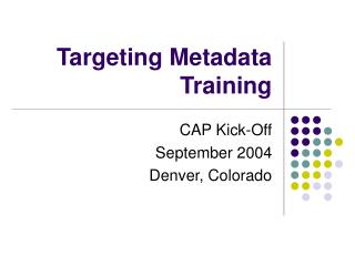 Targeting Metadata Training