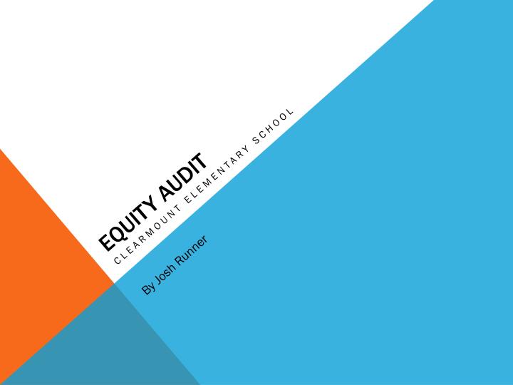 equity audit
