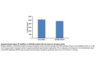 Supplementary figure S7 Addition of 500mM sorbitol did not improve lycopene yield