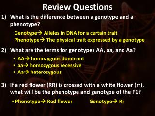 Review Questions