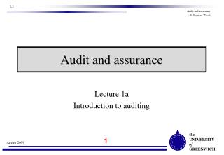 Balance sheet audit 2