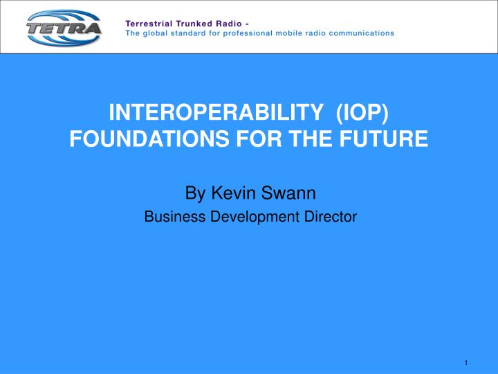 interoperability iop foundations for the future