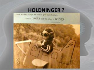 holdninger