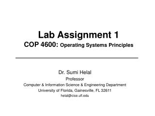 Lab Assignment 1 COP 4600: Operating Systems Principles