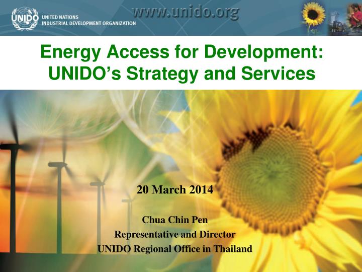 energy access for development unido s strategy and services