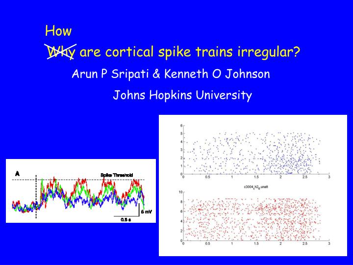 why are cortical spike trains irregular