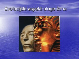 evolucijski aspekt uloge ena