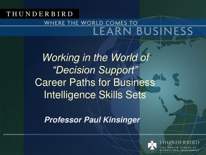 working in the world of decision support career paths for business intelligence skills sets