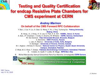 Testing and Quality Certification for endcap Resistive Plate Chambers for CMS experiment at CERN