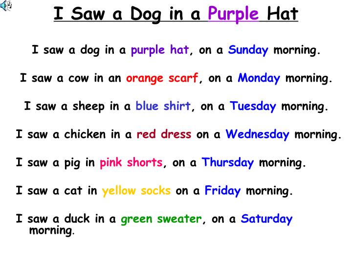i saw a dog in a purple hat