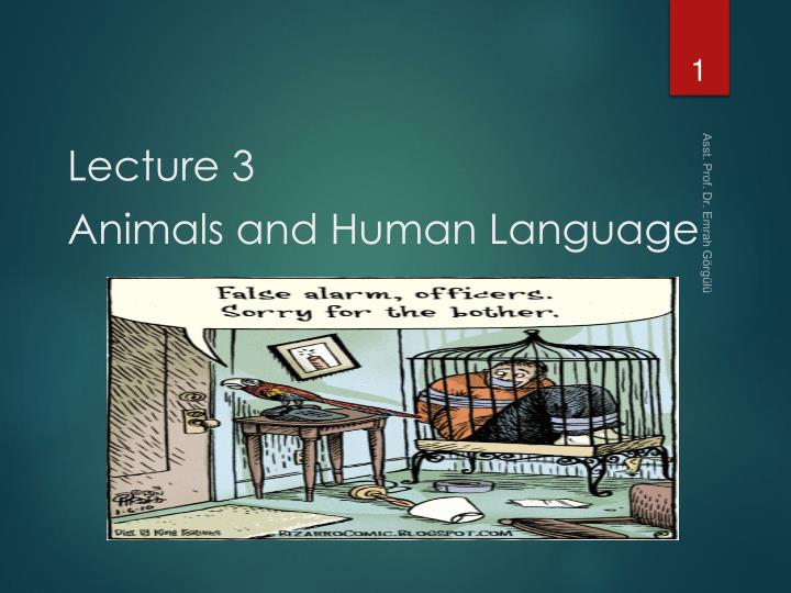 lecture 3 animals and human language