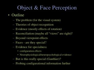 Object &amp; Face Perception